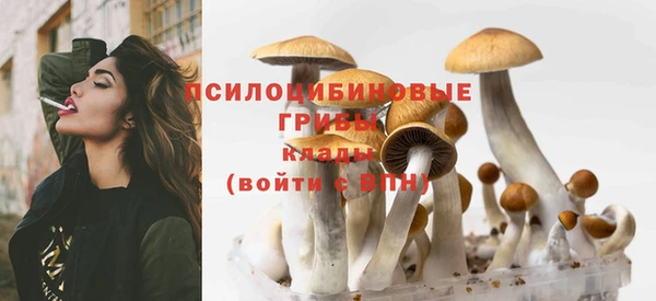 шишки Бугульма