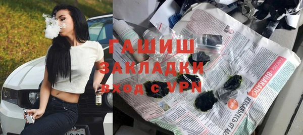 индика Богородицк