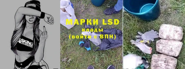 индика Богородицк