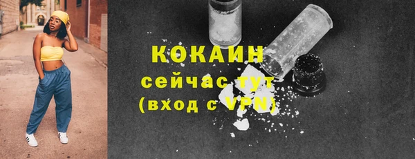 индика Богородицк