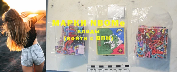 индика Богородицк