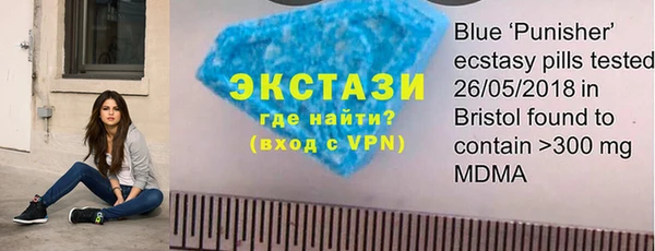 индика Богородицк