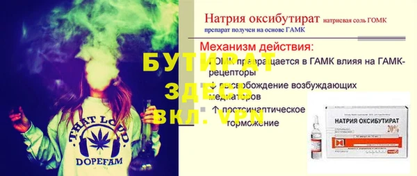 индика Богородицк