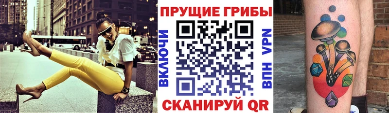 закладка  Волосово  Псилоцибиновые грибы GOLDEN TEACHER 