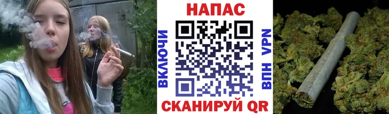 Бошки марихуана SATIVA & INDICA Волосово